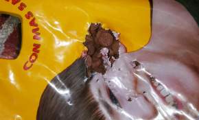 Más ratones: Clausuran establecimiento de Sodimac de Iquique por presencia de fecas de roedor 