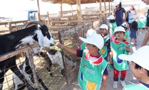 Niños de Integra disfrutaron con animales de la granja interactiva