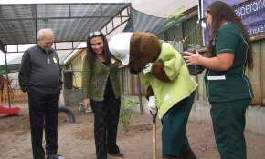 Jardín Infantil Huellitas junto con CONAF celebran Arborización