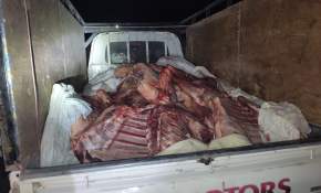 Decomisan casi 2 toneladas de carne: Iban a venderla en Iquique y Alto Hospicio en Fiestas Patrias [FOTOS]
