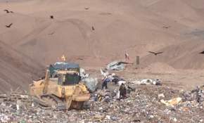 El negocio de la basura en Iquique: todos los caminos conducen a China