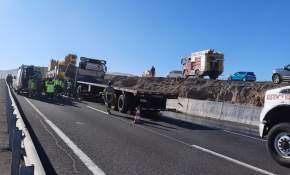 Tarapacá: Un herido grave dejó colisión de camiones en la Ruta A-16 [VIDEO + FOTOS]